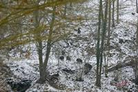 Cjp_2009_01_12_104626 (1).jpg